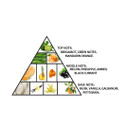 Al Haramain Amber Oud Aqua Dubai Extrait De Parfum Spray 75Ml (2.5 Oz) - Exotic Fragrance With Bergamot, Fruits, Amber & Musk, Long-Lasting Eau De Parfum For Men & Women