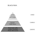 Jacques Bogart Silver Scent Midnight Men Edt Spray 3.3 Oz