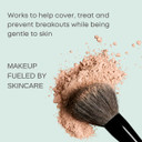 Emani Vegan Cosmetics Flawless Matte Foundation, 1001 Nude Beige, 0.42 Ounce1001 Nude Beige