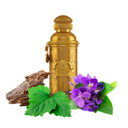 Golden Oud Eau De Parfum Spray 3.4 Oz For Women