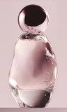 Kylie Cosmetics By Kylie Jenner Cosmic Eau De Parfum 50 Ml | Ambery Floral Kylie Cosmetics By Kylie Jenner Cosmic Eau De Parfum 50 Ml | Ambery Floral