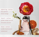 Kylie Cosmetics By Kylie Jenner Cosmic Eau De Parfum 50 Ml | Ambery Floral Kylie Cosmetics By Kylie Jenner Cosmic Eau De Parfum 50 Ml | Ambery Floral