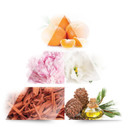 La Rive Sweet Rose By La Rive Eau De Parfum Spray 3 Oz For Women