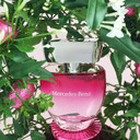 Mercedes-Benz - Rose - Professional Fragrance For Women - Elegant And Irresistible - Romantic And Stylish - Naturally Infused And Crafted - Sweet, Fresh And Young - Eau De Toilette - 2 Oz