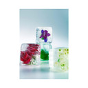 Armand Basi Red By Armand Basi, 1.7 Ounce