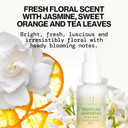 Pacifica Island Vanilla Hair Mist Perfume And Full Body Spray For Women - Fragrance Spray For A Mood-Lifting Experience, Paraben-Free, Clean Beauty No Alcohol, Vegan & Cruelty-Free, 6 Oz Oz
