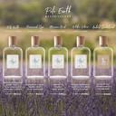 Ralph Lauren Fragrances - Polo Earth - Sandalwood - Eau De Parfum - Woody & Spicy - With Eucalyptus, Sandalwood & Fir Balsam