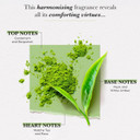 Solinotes Jasmine Flower Perfume For Women & Men, 0.5 Fl Oz/ 15 Ml Eau De Parfum, Delicate Floral And Soothing Scent With Premium Ingredients - Clean Perfume, Cruelty Free, Vegan, Made In France