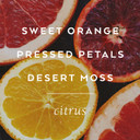 Tokyomilk Dark First Base Eau De Parfum, Anjou Pear, Almond Blossom, Soft Musk & Cedarwood  Sophisticated & Elegant Design, Men & WomenS Perfume, Eau De Parfum Spray For Women