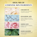 Jeu'Demeure Dermishuttle Dd Cream Deep Hydration Intensive Smoothness Face, Neck And Hand With Peptide, Ceramide, Hyaluronic Acid, Anti Aging Wrinkles Cream, Korean Skincare Moisturizer (50G)