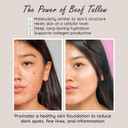 Whipped Milky Beef Tallow For Skin & Face | Made In Usa | 100% Grass-Fed With All-Natural Organic Oils, Dewy Finish Beef Tallow Balm Moisturizer - For Normal To Oily Skin, Tangerine 2Oz