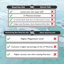 Aromasong Dead Sea Spa Bundle: 5 Lbs Raw Dead Sea Salt + 100% Pure Dead Sea Mud Mask For Detox And Relaxation