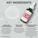 Vitamin C Serum (Tetrahexyldecyl Ascorbate) Night Oil Treatment With Squalane And Pure Rose Oil For Firmer, Glowing Skin, By Dr. Brenner 1 Oz