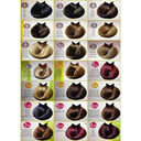 Salerm Colorsoft Cream Treatment Without Ammonia #7.77 Brown Blonde Dark For Unisex, 3.4 Ounce / 100Ml