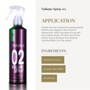 Salerm - Volumizing Hair Spray - Pro Line Volume Spray 02-250 Ml - Lifts The Roots - Adds Volume To Hair Without Weighing It Down - Humidity Resistant For Long-Lasting Hold - Heat Protector