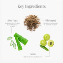 Forest Essentials Hair Vitalizer Bhringraj 50Ml (Hair Spray)