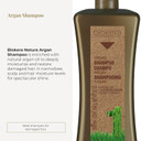 Salerm - Argan Shampoo Biokera Natura - 1000 Ml - For Damaged Hair - With Argan And Cotton Oil - Deep Hydration - Gentle And Effective Cleaning - Shiny Hair