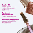 Kosas Air Brow Tinted Gel With Clean, Vegan Ingredients For Fluffy, Full And Healthy Brows, Longwear (Medium Chocolate Brown) Kosas Air Brow Tinted Gel With Clean, Vegan Ingredients For Fluffy, Full And Healthy Brows, Longwear (Medium Chocolate Brown)