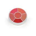 Ben Nye Media Pro Hd Creme Blush Wheel Cr-100