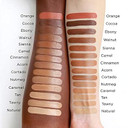 Perfection Multi-Use Concealer (Color - Sienna Fcpf10)