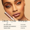 Runway Rogue Silk Glam Liquid Lipstick, Long Wear Frosted Blush Rosy-Pink Lipstick, Jet Set