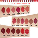Evpct 12Pcs Mini Pills Lipstick Capsule Set For Women Waterproof Long Lasting, Dark Ruby Plum Rose Red Nude Pink Mauve Taupe Brown Matte Small Magic Permanent 24 Hour Lipstick Bulk Samples 01