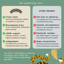 Hampstead Tea Organic Fairtrade, Fennel Liquorice Tea, 20 Count Sachet