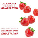 Betty Lou'S Pb&J Bars, Peanut Butter & Blueberry Snack, Gluten Free, Vegan, Non Gmo, Deliciously Healthy Snacks, Individually Wrapped, 2 Oz Each (12 Pack) Betty Lou'S Pb&J Bars, Peanut Butter & Blueberry Snack, Gluten Free, Vegan, Non Gmo, Deliciously Healthy Snacks, Individually Wrapped, 2 Oz Each (12 Pack)