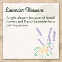 Eco-Me Plant Based Concentrated Laundry Detergent, Fragrance-Free, Clear, Unscented, 32 Fl.Oz