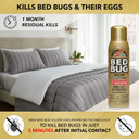 Harris 5-Minute Bed Bug Killer Aerosol Spray, 16Oz