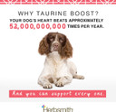 Herbsmith Taurine Boost - Cardiac And Heart Support For Dogs And Cats - Taurine Supplement For Dog And Cat Heart Health  With Coq10, Taurine And L-Carnitine For Dogs - 150G