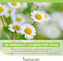 Herbsmith July Third - Canine Calming Chews - Calming Herbs For Dogs - Anxiety Supplements For Dogs - 30Ct Large Chews