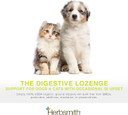 Herbsmith Organic Slippery Elm - Digestive Aid For Dogs And Cats - Constipation And Diarrhea Relief For Dogs And Cats - Megaesophagus Dog Aid - 150G