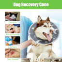 Mabozoo Adjustable Soft Dog Cone For Dogs After Surgery, Glow In The Dark Pet Recovery Collar For Dogs And Cats,Comfy Elizabethan Collar After Surgery For Prevent Biting Scratching(S)