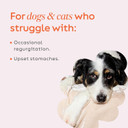 Super Snouts Pumpkin Latte Digestive Supplement For Dogs & Cats, Pumpkin Powder With GoatS Milk, Made In Usa Antibiotic Free, Healthy Gut & Stool, 10 Oz