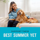 Vetiq Hip & Joint Supplement For Dogs, Anti Inflammatory Joint Support, Glucosamine, Msm, And Krill, Chicken Flavored Soft Chews, 60 Count