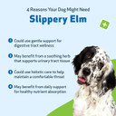Pet Wellbeing Slippery Elm For Dogs - Organic Herb, Supports A Healthy Digestive Tract, Gut Lining, Throat Health & Comfort - Veterinarian-Formulated Herbal Supplement 2 Oz (59 Ml) Pet Wellbeing Slippery Elm For Dogs - Organic Herb, Supports A Healthy Digestive Tract, Gut Lining, Throat Health & Comfort - Veterinarian-Formulated Herbal Supplement 2 Oz (59 Ml)