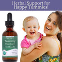 Herb Lore Tummy Tincture  Usda Organic Herbal Digestive System Support  Alcohol-Free Kid Safe Drops For Occasional Gas, Bloating, Colic, & Upset Stomach - 2 Fl Oz