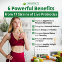 Gut Support Live Probiotics For Women And Men 60 Vegetable Softgel-Lb17 Daily Probiotic Supplement For Adults, Digestive Probiotic For Gut Health, Gut Probiotics For Immune & Digestive Support