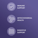 Dr. Mercola Full Spectrum Enzymes - 22 Different Enzymes - Supports Digestive & Immune Health - Helps Digest Carbohydrates, Fats, Proteins & Fiber - Non-Gmo, Gluten-Free & Soy-Free - 90 Capsules