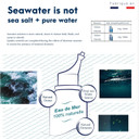 Hypertonic Saline Nasal Spray All Natural Seawater,Sinus Rinse & Sinus Allergy Symptom Reliever 3.38 Fl Oz (100 Ml) Hypertonic Saline Nasal Spray All Natural Seawater,Sinus Rinse & Sinus Allergy Symptom Reliever 3.38 Fl Oz (100 Ml)