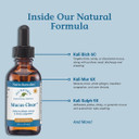 Native Remedies Mucus-Clear Nighttime - Temporarily Relieves Mucus Congestion And Supports Peaceful Sleep