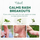 Poison Ivy Soap Bar - All Natural Poison Ivy Treatment - Anti-Itch Skin Cleanser Bar For Poison Ivy, Poison Oak & Sumac - Removes Oils, Soothes & Relieves Rashes - 4 Oz Bar Made In Usa Poison Ivy Soap Bar - All Natural Poison Ivy Treatment - Anti-Itch Skin Cleanser Bar For Poison Ivy, Poison Oak & Sumac - Removes Oils, Soothes & Relieves Rashes - 4 Oz Bar Made In Usa