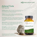 Adrenal Forte - Adrenal Support Supplement* With Ashwagandha & Rhodiola - 120 Capsules
