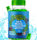 Sea Moss Gummies & Elderberry - Vitamin C + Zinc  Extra Strength Immune & Thyroid Support Booster Gummy Bears For Kids & Adults - 60 Seamoss Gummies - Made In The Usa