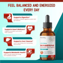 Liposomal Berberine With Cinnamon & Milk Thistle  Advanced Formula  Supports Digestion, Heart Wellness & Liver Cleanse*  2.0 Fl. Oz (60Ml)  Made In The Usa