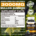 1 Pack Sugar Free Mullein Gummies - Lung Cleanse, 3000Mg Mullein Supplement For Respiratory, Organic Mullein Drops Gummy With Quercetin & Bromelain For Lung, Digestive Health & Immune 90Ct