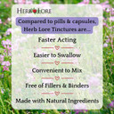 Herb Lore Astragalus Tincture  Liquid Astragalus Root Extract Drops - Immune System Support  4 Fl Oz