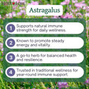 Herb Lore Astragalus Tincture  Liquid Astragalus Root Extract Drops - Immune System Support  4 Fl Oz