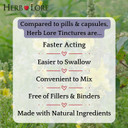 Herb Lore Organic Mullein Tincture Drops - Mullein Leaf Extract For Lungs - Safe For Kids - Alcohol Free (2 Fl Oz)